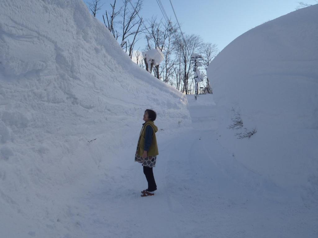 Mont Cervin Myoko Hotel Exterior photo
